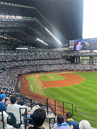 エスコン野球観戦